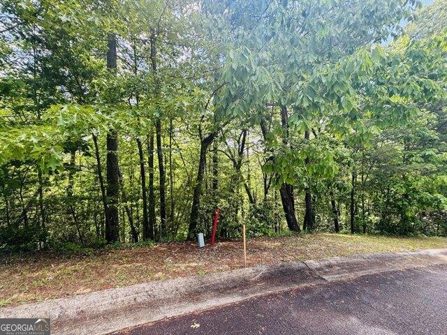 Land for sale in Helen, Georgia