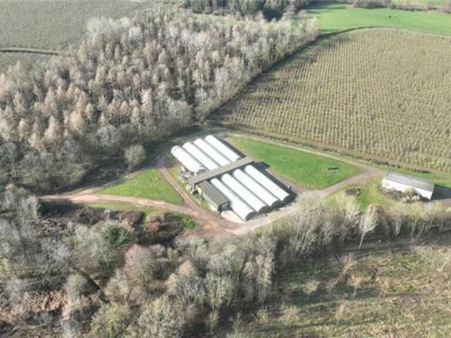 Land for rent