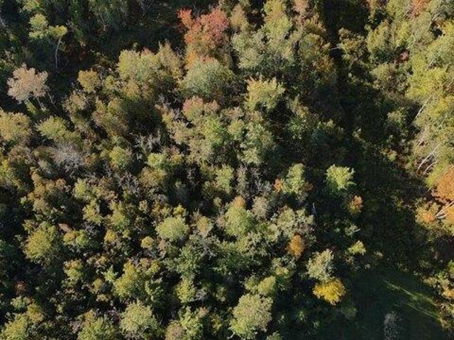 Land for sale in Hermon, Maine