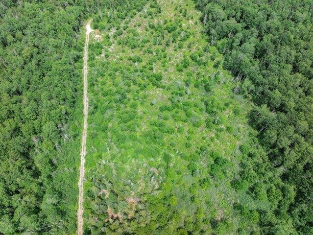 Land for sale in Hermon, Maine