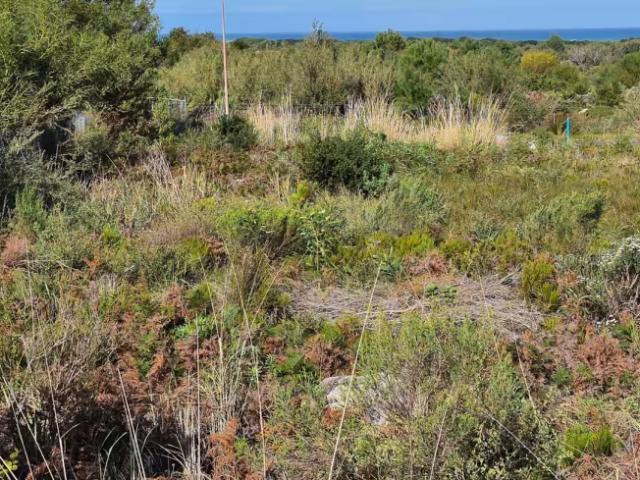 Land for sale