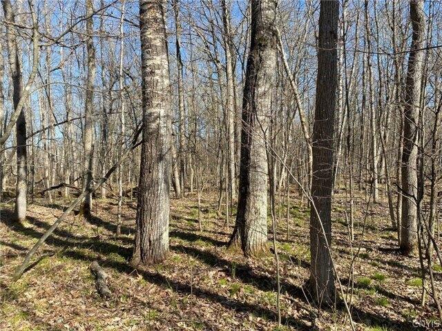 Land for sale in De Peyster, New York