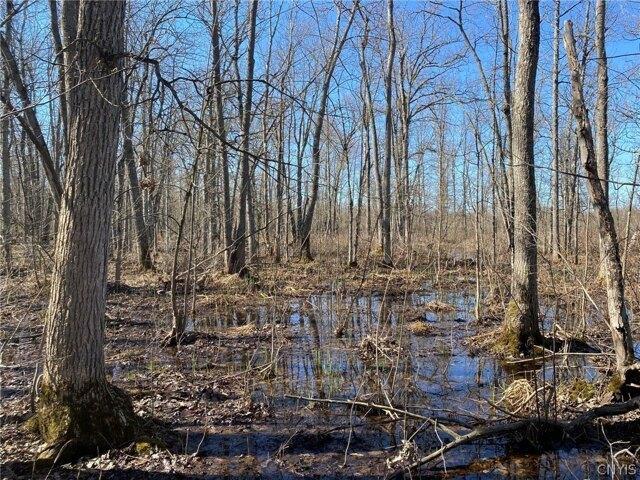 Land for sale in De Peyster, New York