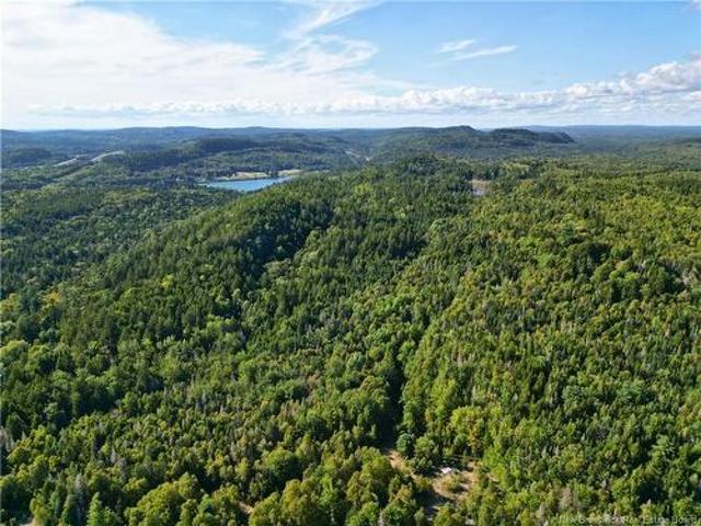 Land for sale in Charlotte, New Brunswick