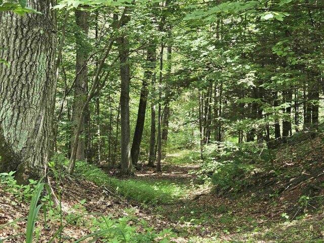 Land for sale in New Hampshire