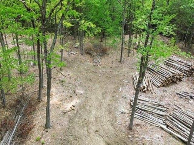 Land for sale in New Hampshire