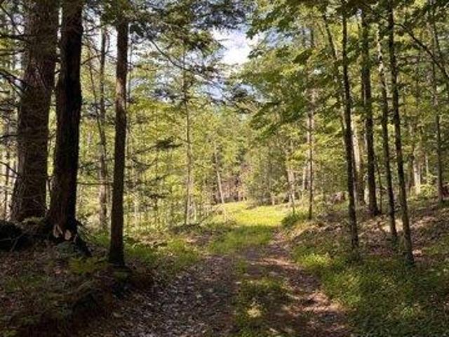 Land for sale in New Hampshire