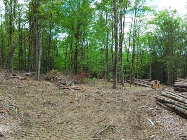 Land for sale in New Hampshire