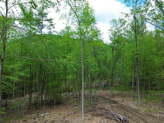 Land for sale in New Hampshire