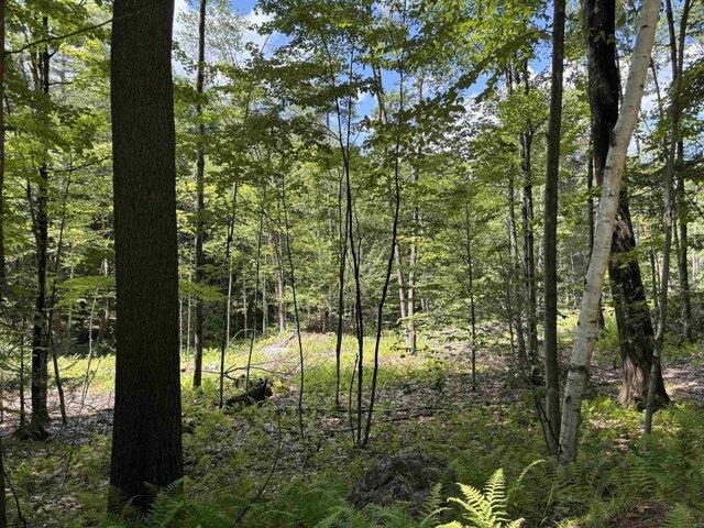 Land for sale in New Hampshire