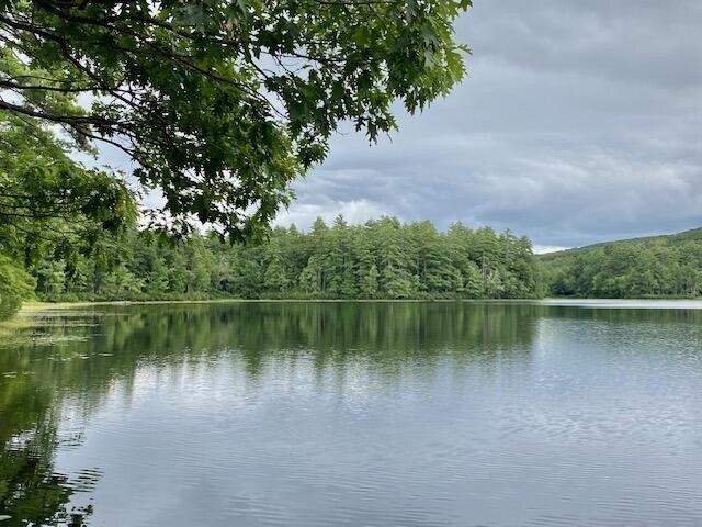 Land for sale in Porter, Maine