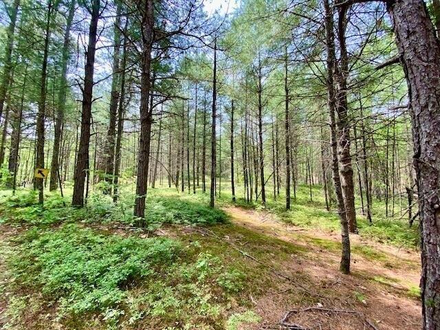 Land for sale in Porter, Maine