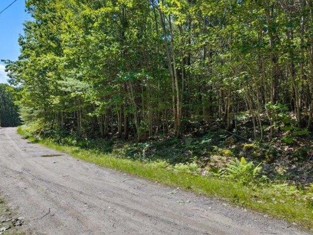 Land for sale in Hiram, Maine