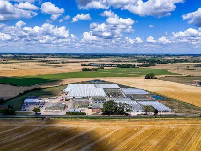 Land for sale in Gedney, Gosberton Clough