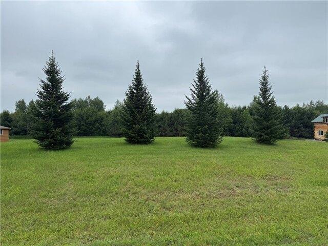 Land for sale in Holcombe, Wisconsin