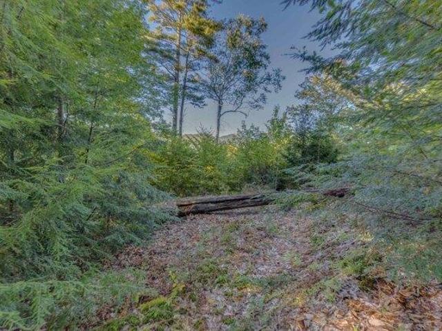Land for sale in New Hampshire