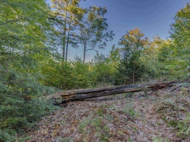 Land for sale in New Hampshire