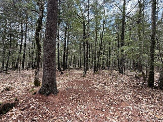 Land for sale in Hollis Center, Maine