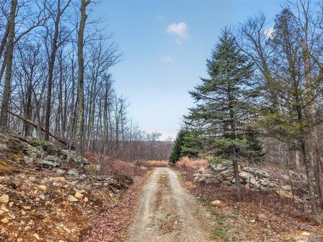 Land for sale in Holmes, New York
