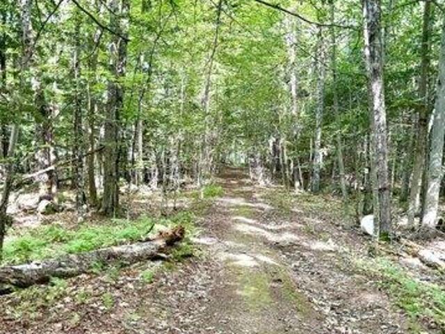 Land for sale in Hopkinton, Merrimack County