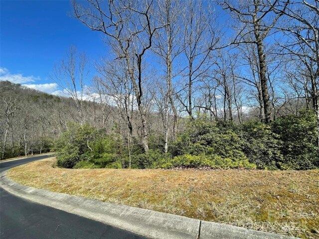 Land for sale in Horse Shoe