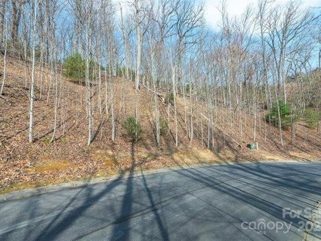Land for sale in Horse Shoe, North Carolina