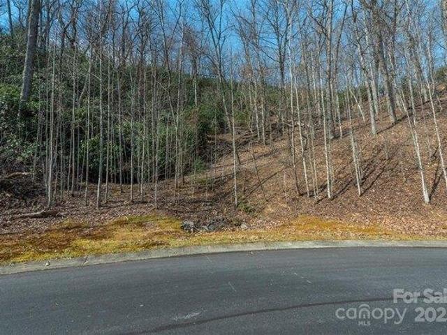 Land for sale in Horse Shoe, North Carolina