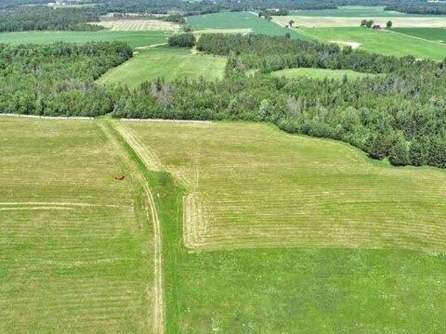 Land for sale in New Limerick, Maine