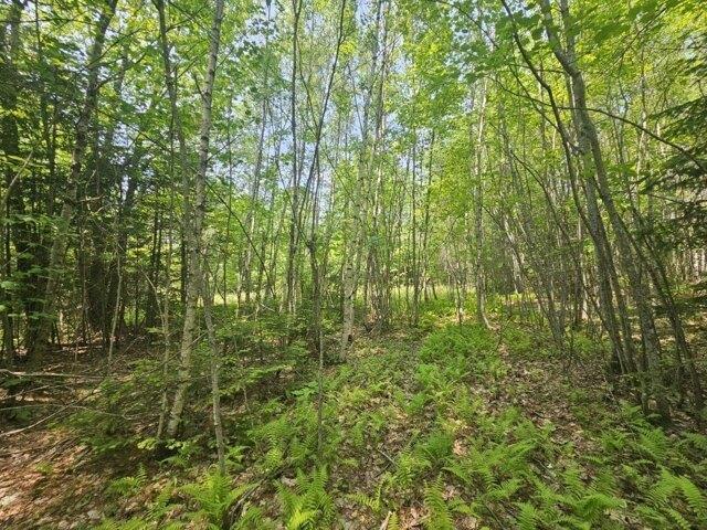 Land for sale in Hudson, Maine