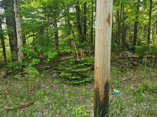 Land for sale in Hudson, Maine