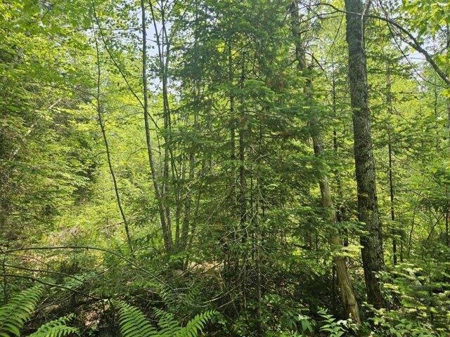 Land for sale in Hudson, Maine