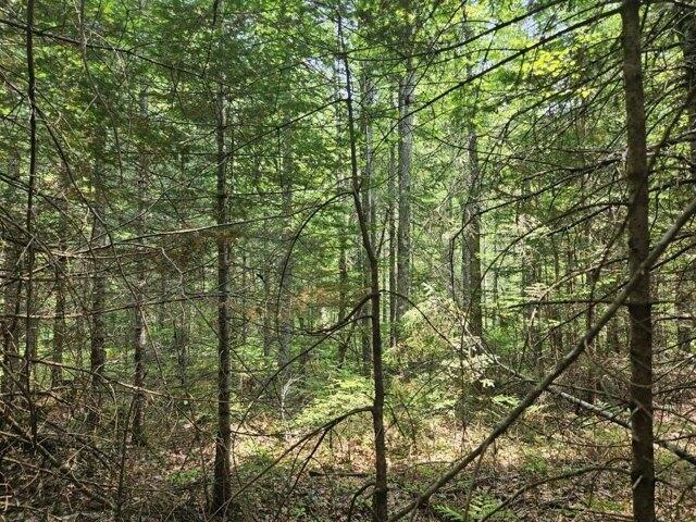 Land for sale in Hudson, Maine