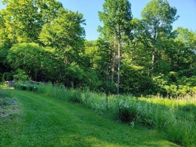 Land for sale in Huntington, Massachusetts
