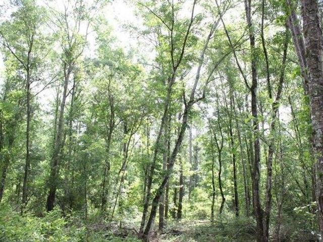 Land for sale in Huntington