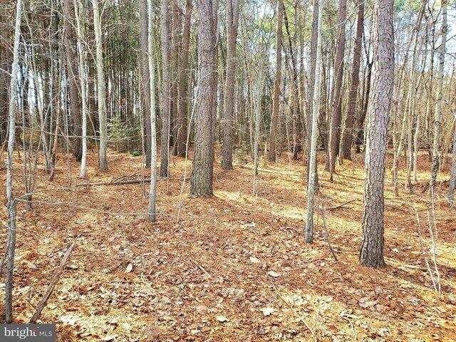 Land for sale in Dorchester, Maryland