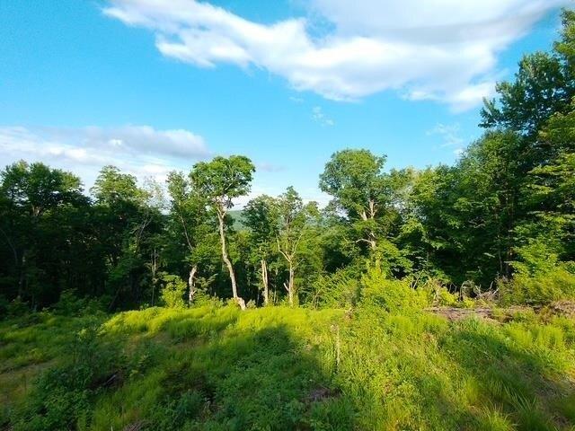 Land for sale in Hyde Park, Vermont