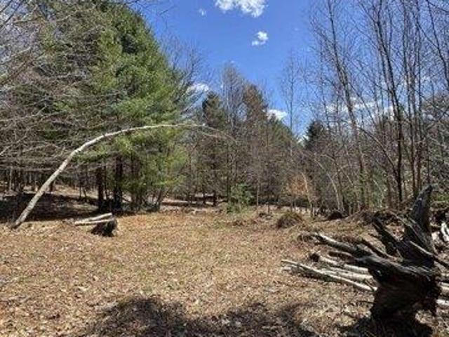 Land for sale in Hyde Park, Vermont