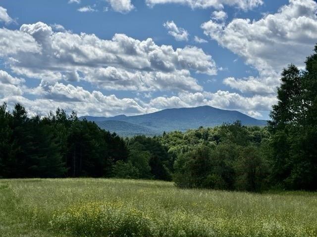Land for sale in Hyde Park, Vermont
