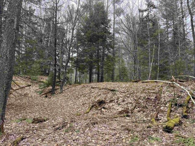 Land for sale in Hyde Park, Vermont