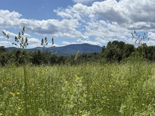 Land for sale in Hyde Park, Vermont