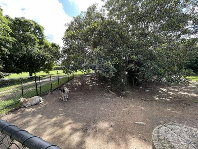 Property for sale in Toombul, Queensland