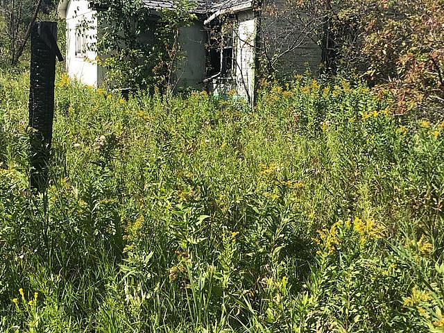 Land for sale in East St. Paul, Manitoba
