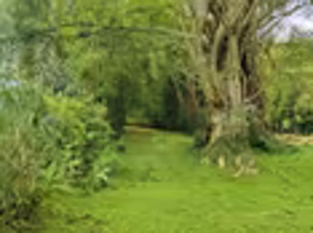 Land for sale in Inchanga, eThekwini Metropolitan Municipality