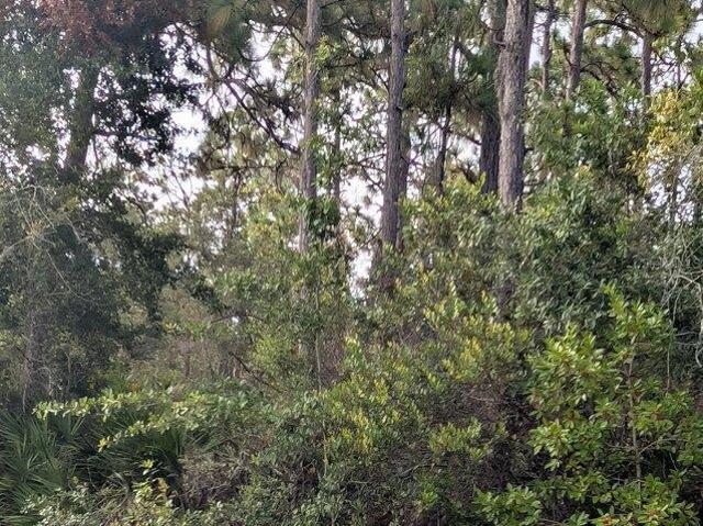 Land for sale in Indian Lake Estates, Florida