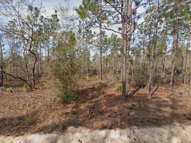 Land for sale in Interlachen, Florida