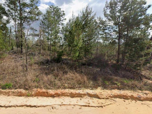 Land for sale in Interlachen, Florida