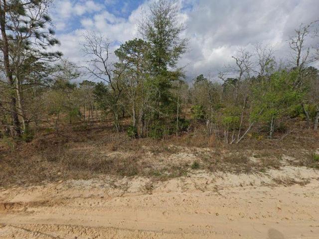 Land for sale in Interlachen, Florida