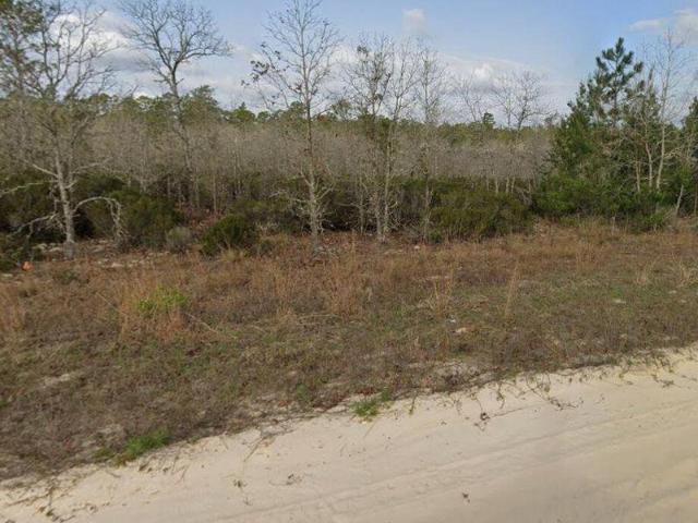 Land for sale in Interlachen, Florida
