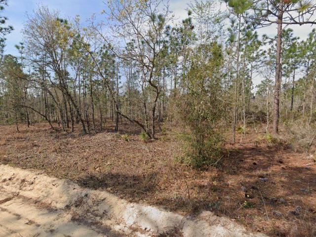 Land for sale in Interlachen, Florida