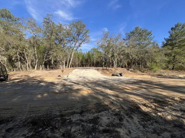 Land for sale in Interlachen, Florida